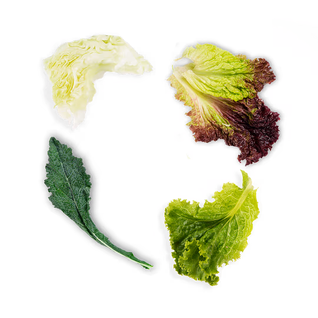 Salad Leaves Mix